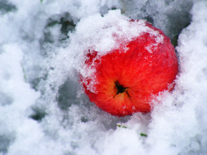 How to stay healthy in winter