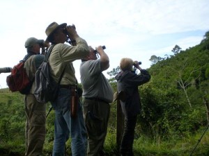 sagres-birdwatching-festival