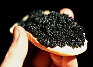 algarve-caviar