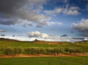 Algarve food and drink